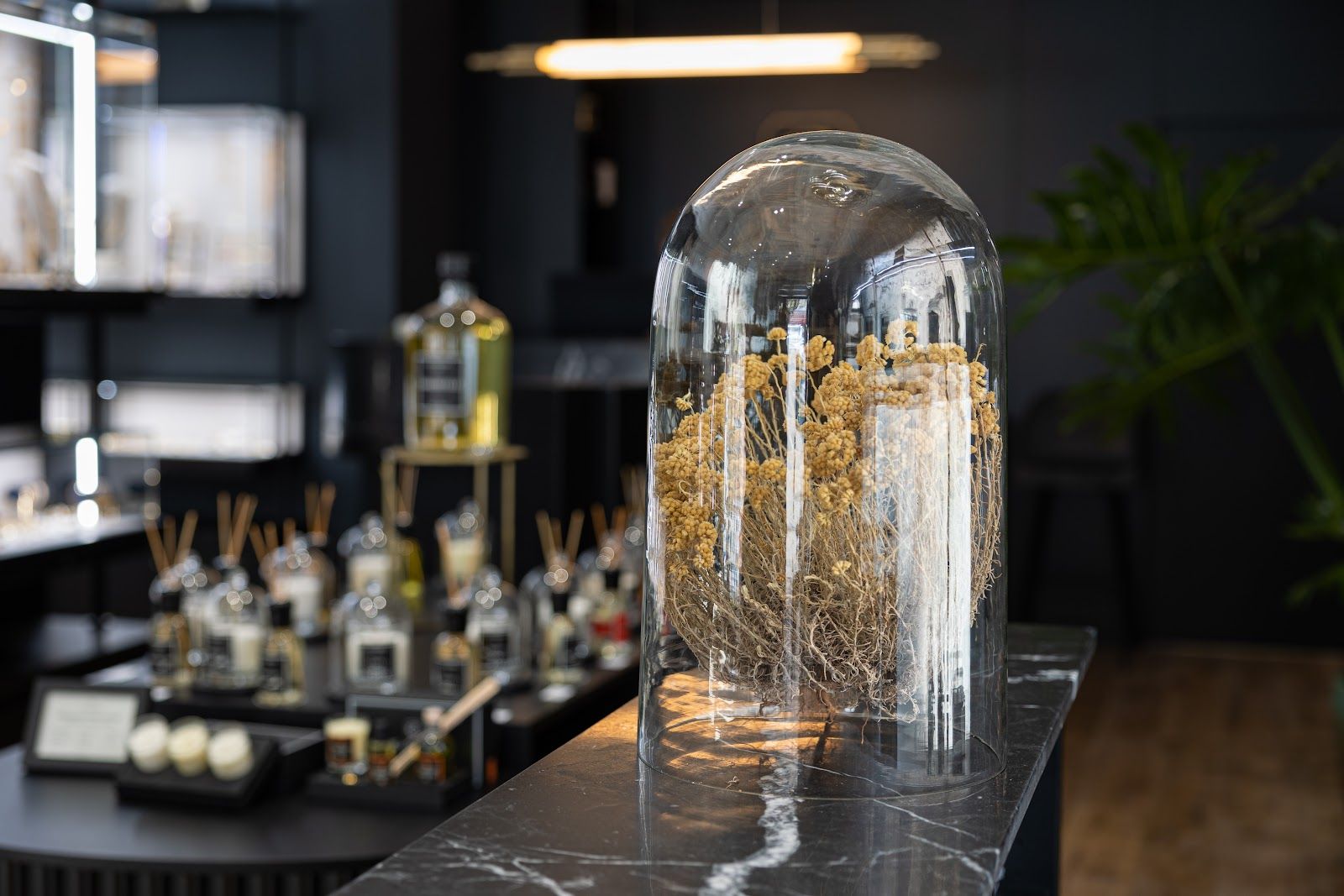 Casanera Calvi : cloches de présentation
